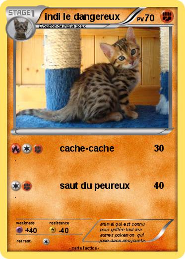Pokemon indi le dangereux