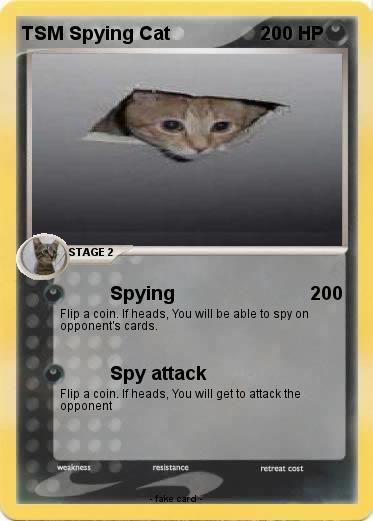 Pokemon TSM Spying Cat