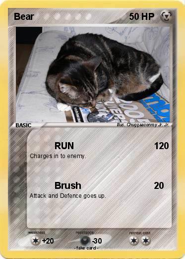 Pokemon Bear