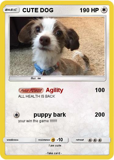 Pokemon CUTE DOG