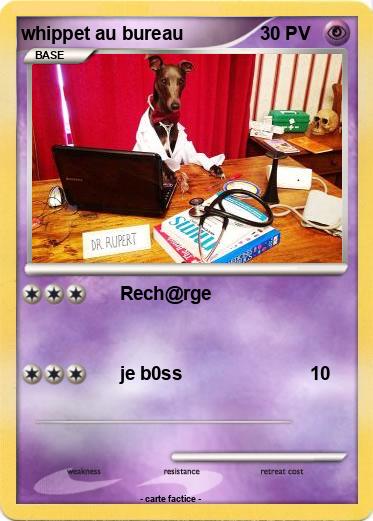 Pokemon whippet au bureau