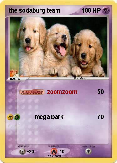 Pokemon the sodaburg team