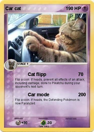 Pokemon Car cat