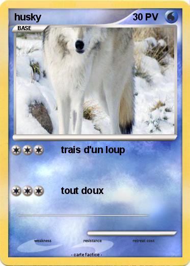 Pokemon husky