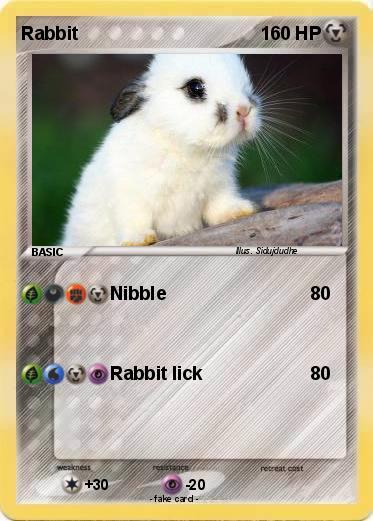 Pokemon Rabbit