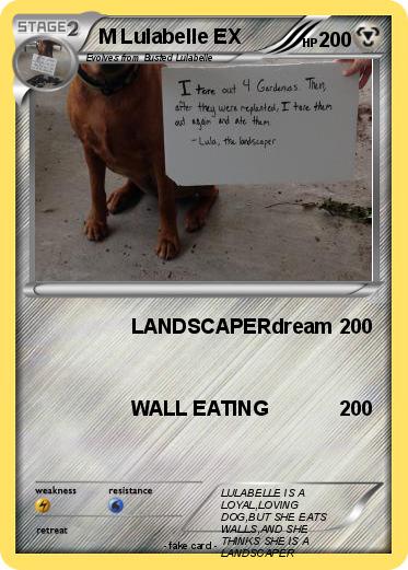 Pokemon M Lulabelle EX