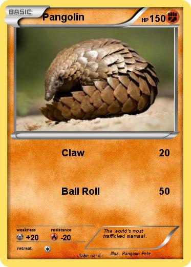 Pokemon Pangolin