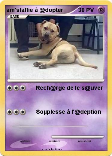 Pokemon am'staffie à @dopter