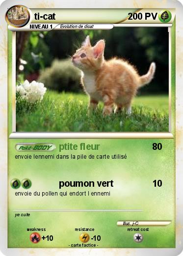 Pokemon ti-cat