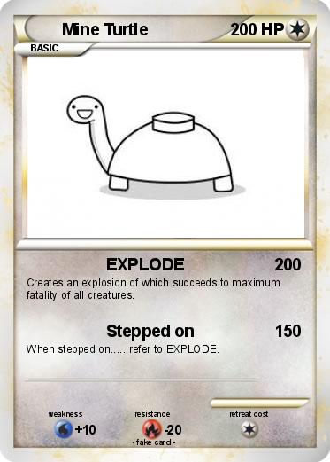 Pokemon Mine Turtle