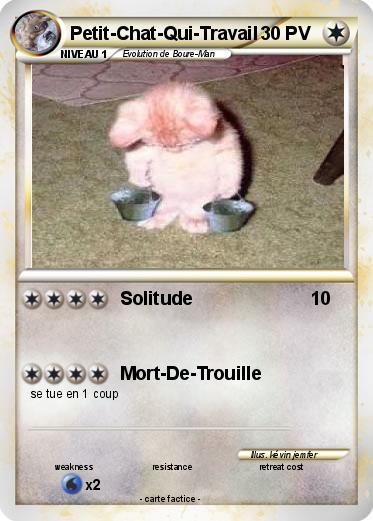 Pokemon Petit-Chat-Qui-Travail