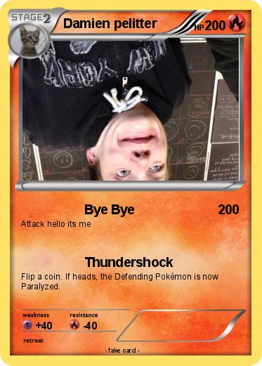 Pokemon Damien pelitter
