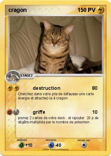 Pokemon cragon