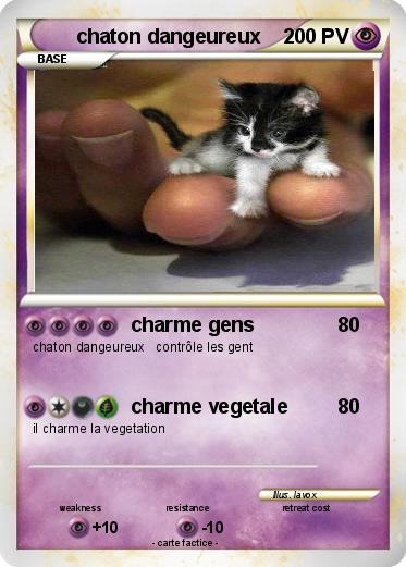 Pokemon chaton dangeureux