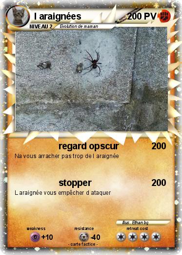 Pokemon l araignées