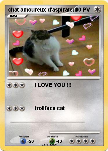 Pokemon chat amoureux d'aspirateur