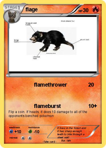 Pokemon flage