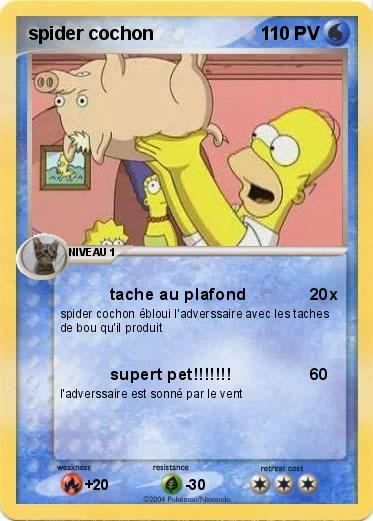 Pokemon spider cochon