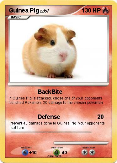 Pokemon Guinea Pig
