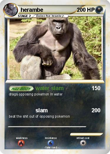 Pokemon herambe