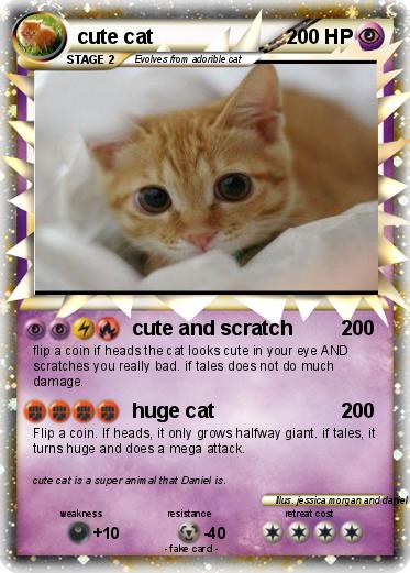 Pokemon cute cat