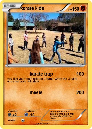 Pokemon karate kids