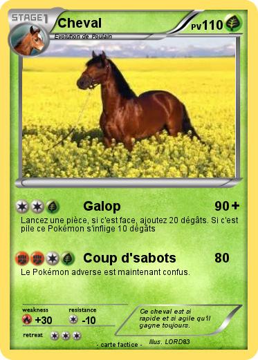 Pokemon Cheval