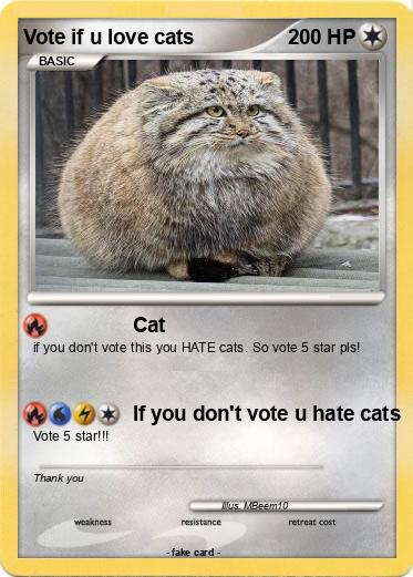 Pokemon Vote if u love cats