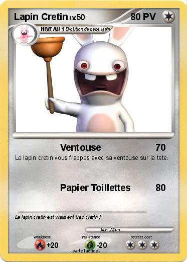 Pokemon Lapin Cretin