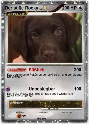 Pokemon Der süße Rocky