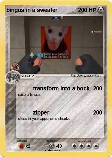 Pokemon bingus in a sweater