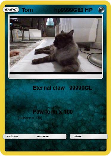 Pokemon Tom              hp9999GL