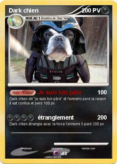 Pokemon Dark chien