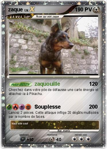 Pokemon zaque