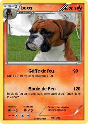 Pokemon boxer