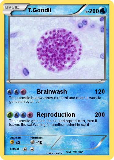 Pokemon T.Gondii