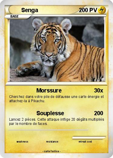 Pokemon Senga
