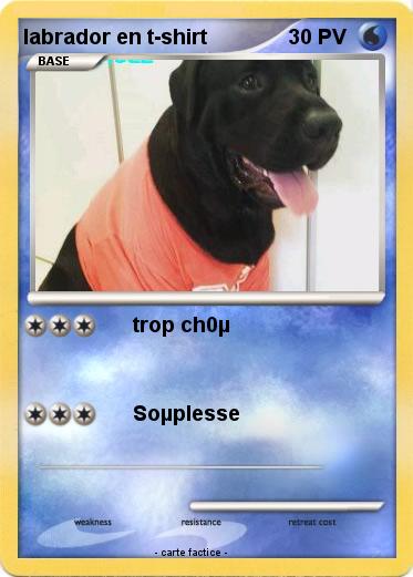 Pokemon labrador en t-shirt