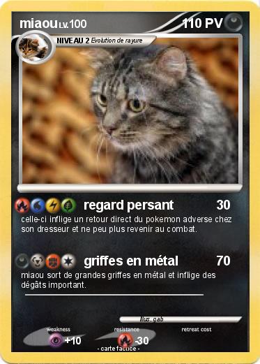 Pokemon miaou