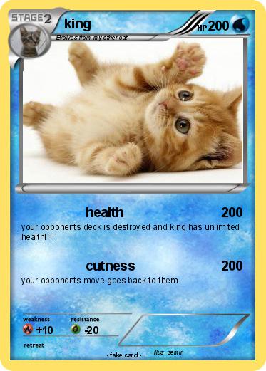Pokemon king