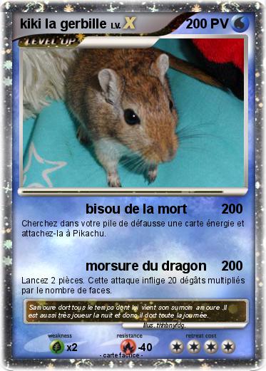 Pokemon kiki la gerbille