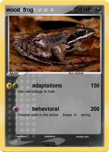 Pokemon wood  frog