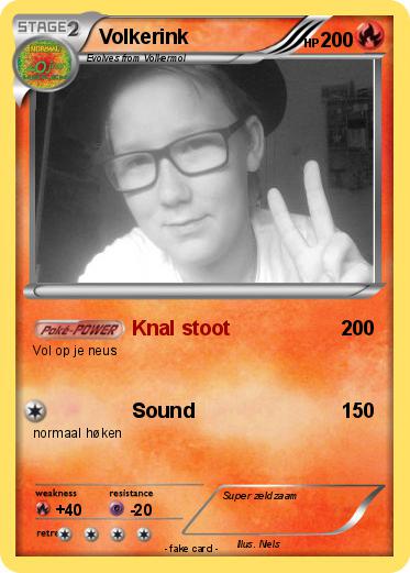 Pokemon Volkerink