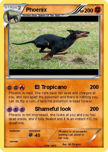 Pokemon Phoenix