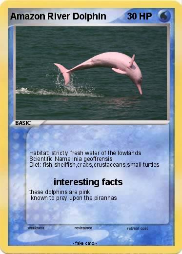 Pokemon Amazon River Dolphin