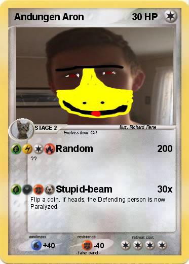 Pokemon Andungen Aron