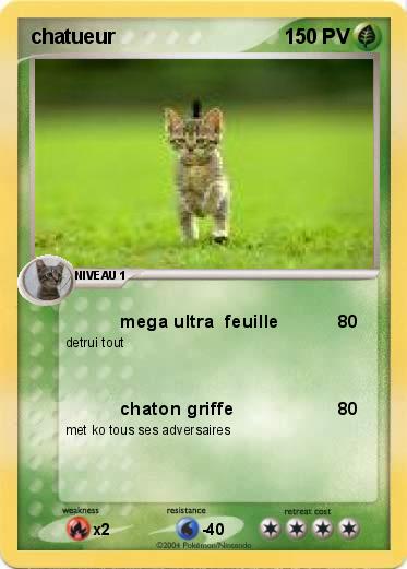 Pokemon chatueur