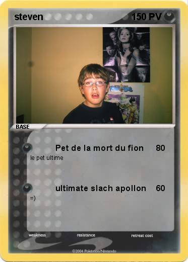 Pokemon steven