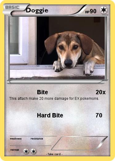 Pokemon Doggie