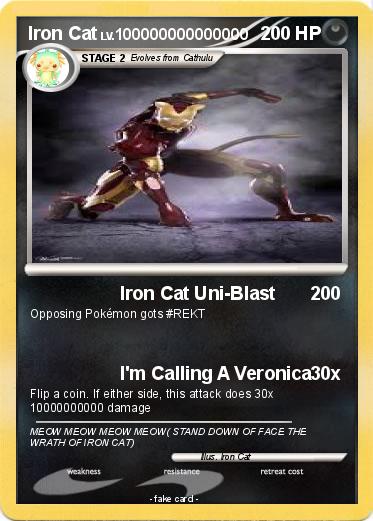 Pokemon Iron Cat